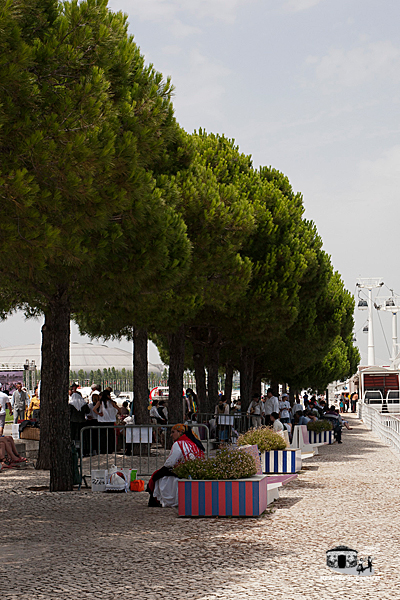 2011-rancho-coracao-rtp06