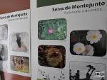2012-rfnc-fabrica-gelo-09